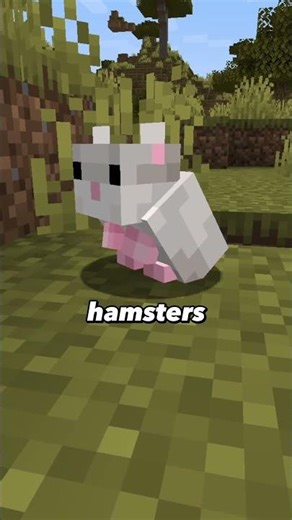 This mod adds tamable hamsters!