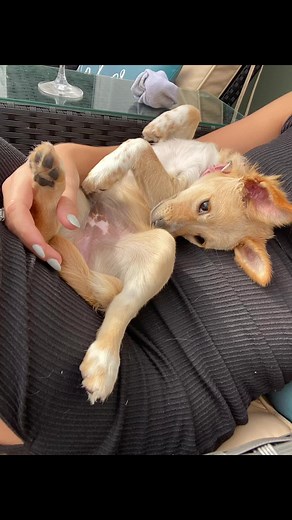 BOSSMAMA (@jenmac46)’s videos with original sound - Corinne