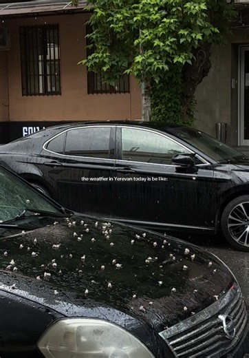 Current Weather Conditions in Yerevan, Armenia