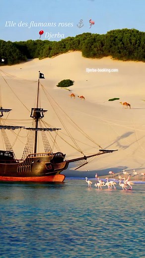 Exploring Djerba: The Flamingo Island Experience