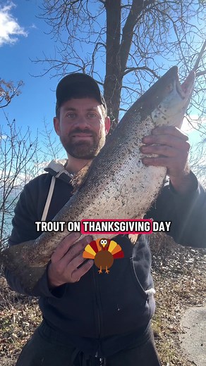 Fishing in Lake Michigan: A Guide to Trout Fishing