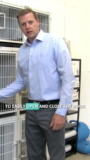 Professional Dog Cages for Vet Clinics & Grooming Shops - Durable Modular Cage Banks
