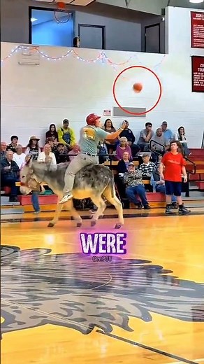 You Won’t Believe This Sport Is Real 😂