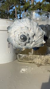 Acid dipped whelk shells 576 . #craft #shellsofinstagram #yeahsciencebeach #beachcombing #whelk Muriatic acid 1:4 water dip | baking soda 1 c/1 gal water rinse. Gloves/PPE and proper ventilation. These are thick ass shells. Small thin shells will melt in seconds. | Acid Whelk