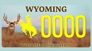 Learn more about how each Wildlife Conservation License Plate on the road helps Wyoming's wildlife and drivers: https://bit.ly/2XsqPBy | Wyoming Game and Fish Department