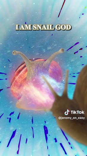 Rescuing a Turbo Snail: A Comedy Sketch