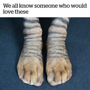 We all know someone who would love these 😂 Get yours at: https://bluecrate.com/collections/animals/products/animal-paw-socks | VT