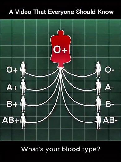 Understanding Blood Types: Lifesaving Information You Need