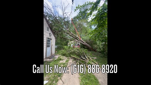 "Crane Tree Removal in Southwest Michigan- Watch This!" | Gill's Tree Service