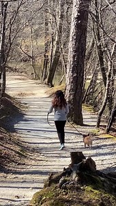 11K views · 322 reactions | Robin Meade on Reels | Facebook