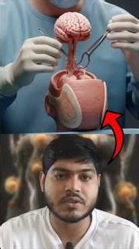 Male vs Female Brain Swap — The Shocking Truth!