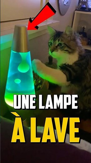 COMMENT FONCTIONNE LES LAMPES À LAVE ?