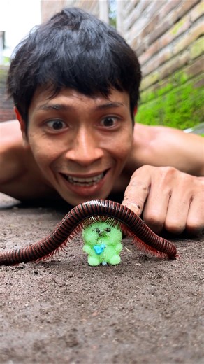 The Trick, It’s better to pretend to sleep so the millipede won’t be afraid to enter its new home