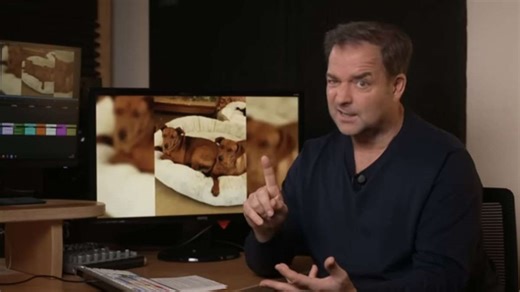 Animal Hoarding: Martin Rütter hilft Haßberge-Hunden - Neue Presse Coburg