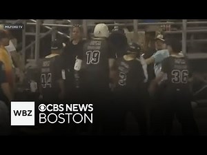 Two people charged after brawl at Milford baseball game