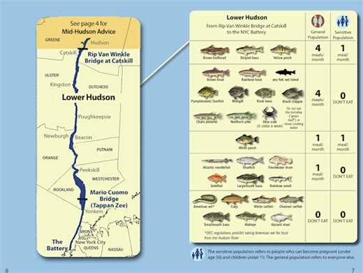 NY health officials say some lower Hudson River fish are safe to eat for first time in 50 years