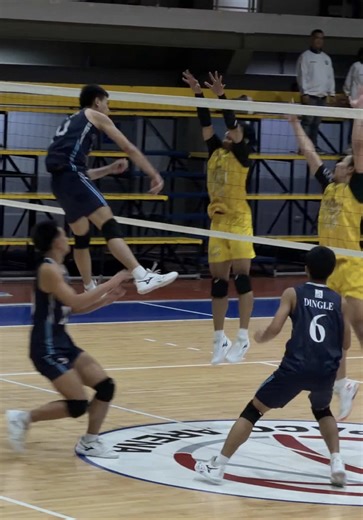 Boys Volleyball Highlights Featuring Ben Quick