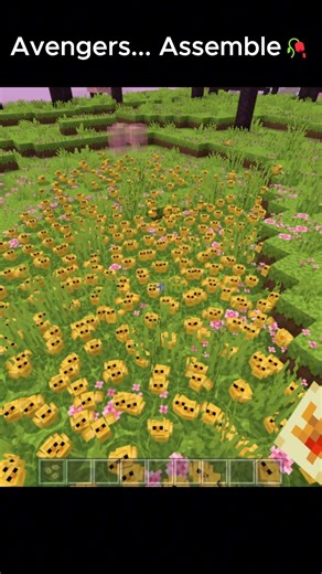 Minecraft Baby Chicken Moment