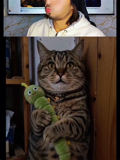 Cat and Mouse's Hilarious Fight