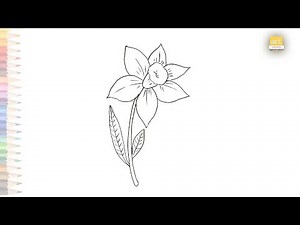 Daffodils drawing easy 3 | How to draw Daffodil flower step by step | Flower drawing tutorials