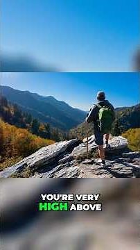 Potential & Kinetic Energy Explained