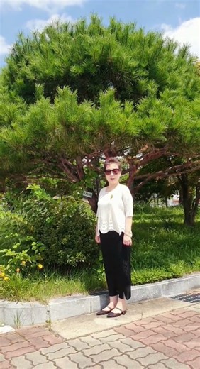 ✝️소나무정원(할머님)(대한민국🇰🇷그림🖼설교자)(최원석목사) (기독교한국침례회) (원남제일침례교회)