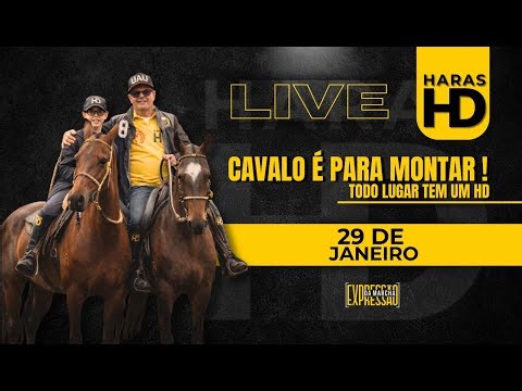 LIVE HARAS HD - 29/01/2026