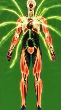 Cinematic 3D Anatomical Visualization of Yogurt Tea Journey Inside the Human Body