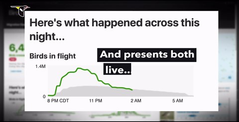 New BirdCast Migration Dashboard reveals nightly migration in near real time - eBird