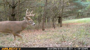 Muddy Outdoors on Reels