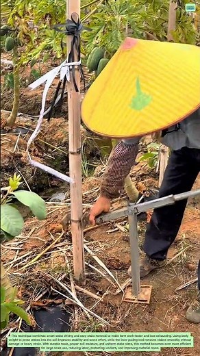 Modern Stake Installation and Removal Technique for Farms