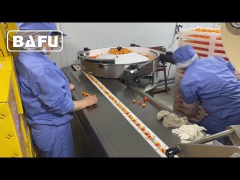 soft candy wrapping machine, candy packaging machine, automatic packaging machine, mini flow wrapper