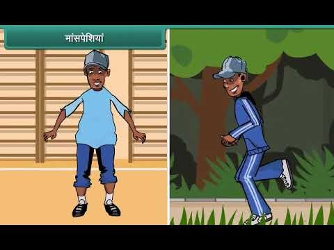 Bones 🦴 and Muscles 💪 | Class 5 Science (Hindi) | Kids Learning
