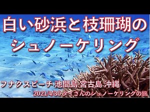 【#36 タイさんのシュノーケリングの旅 】白い砂浜とサンゴのフナクスビーチ 池間島 宮古島 沖縄, Tai's Journey