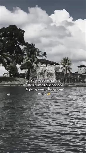 Tienes que entender que eres bueno #reflexionesdeldia