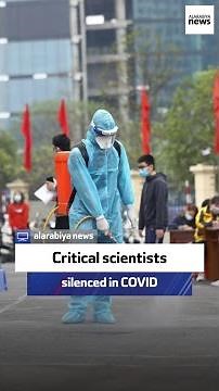 Professor: Leaders hid behind advisors