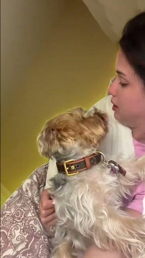 Puppy Love: Woman Shares Affectionate Moment with Adorable Dog#doglove #puppykisses