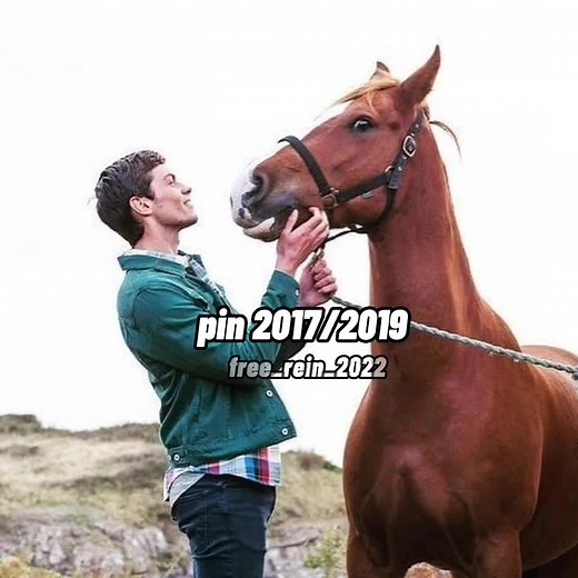 Zoe and Pin's Romantic Moment in Free Rein Explained