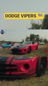 Dodge Vipers Take Over the Car Show | Rare & Modified Builds