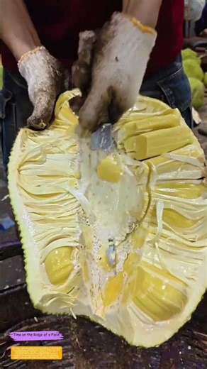 Slicing the Sticky Giant: How a Single Knife Unlocks Jackfruit’s Golden Treasure