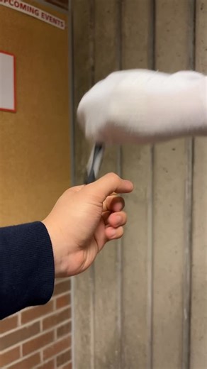 PANA - YorkU on Instagram: "Celebrate Lunar New Year with PANA! 🧧✨ We’re ringing in the Year of the Horse with an evening of culture, community, and celebration — and you’re invited! 📅 Friday, February 13 ⏰ 5:30 PM – 8:30 PM 📍 Calumet College, Room 214 Spots fill up fast, so make sure you register today and join us for an unforgettable night!"