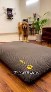 Comfort that'll make your dog go awoooo with joy! SleepyCat Dog Beds are durable, water-resistant, comfy and most importantly, #ApprovedByDogs themselves. Shop now for your pup's comfort! ✅ Anti-microbial ✅ Machine Washable ✅ Available in Orthopaedic as well ✅ 1-Year Warranty ✅ Free Shipping | SleepyCat