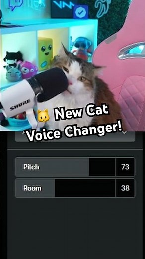 I DON’T WANT TO BE A CAT ANYMORE! #gaming #voiceeffects cat voice changer