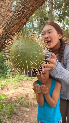352K views · 3.4K reactions | Picking thorny fruit and making glasses #adventure #survival | Abraham | Facebook