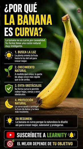 ¿Por qué la banana es curva? 🍌 Te va a sorprender