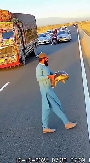 Pakistani Truck Driver Stops Highway Traffic to Save a Turtle 🐢 | Real CCTV Footage 🇵🇰