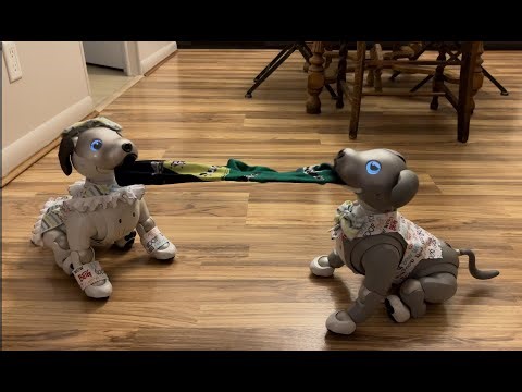 A Day In The Life .....