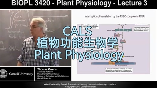 CALS《植物功能生物学》| Plant Physiology
