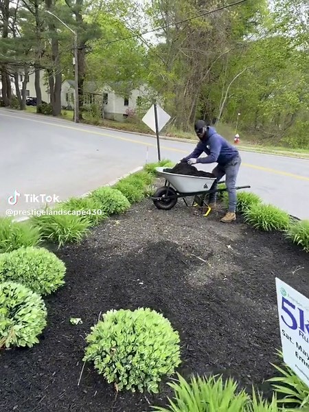 #fyp#landscapedesign#mulching#maintenance#lawntok