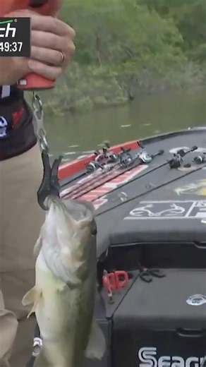 Major League Fishing on Reels